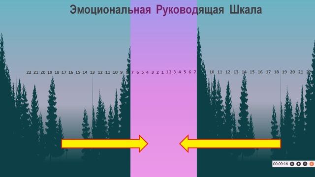 ЧТО ДЕЛАТЬ ПРИ НЕГАТИВНЫХ ЭМОЦИЯХ? СЛЕДУЙТЕ УКАЗАНИЯМ НЕФИЗИЧЕСКОГО ДВОЙНИКА смотреть онлайн