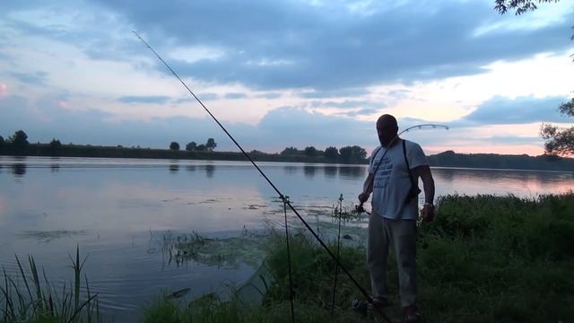 Рыбалка с Больничкой и Афиногеном. Двое суток на реке. Лещ. Сомик. Судак. смотреть онлайн