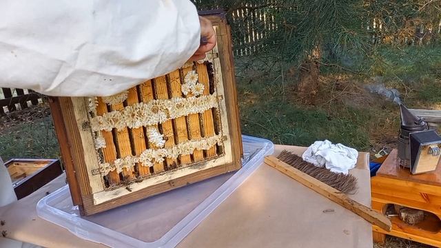 Японский улей, отбор меда. смотреть онлайн