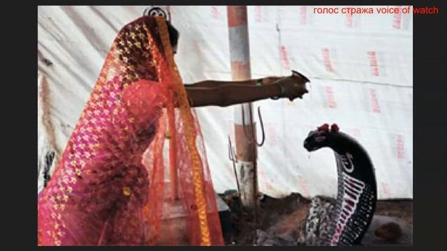 ИНДУИСТСКАЯ БОГИНЯ ЗМЕЙ НАГАММА УВИДЕЛА ИИСУСА ВО СНЕ И СТАЛА ЕГО СВИДЕТЕЛЬНИЦЕЙ