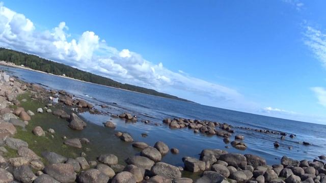 Финский залив,пляж Зелёная роща!!! смотреть онлайн
