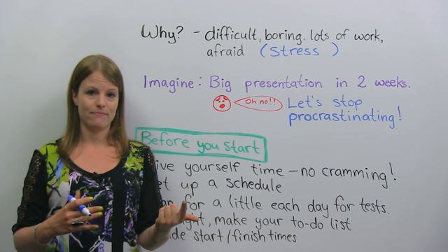 Stop procrastinating and start learning! смотреть онлайн