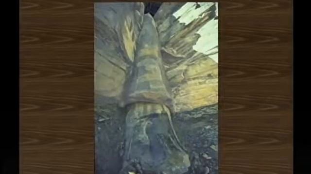 Когда на Земле Зародилась Жизнь? /2012/ смотреть онлайн