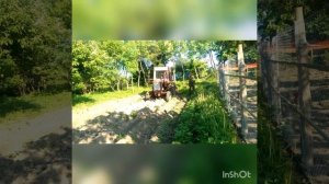 Т-25 Окучивание картофеля ёжиками