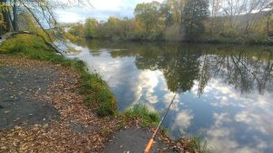 Отводной поводок на окуня.