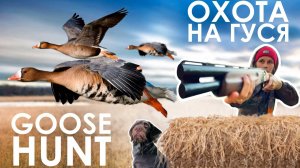 Охота на гуся 2024, девушка охотник/ Goose hunting