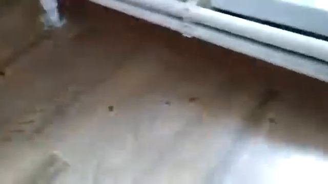 Уничтожение тараканов в квартире смотреть онлайн
