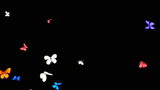Летающие разноцветные бабочки. смотреть онлайн