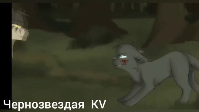 Коты воители. Клип-Молодая кровь. смотреть онлайн