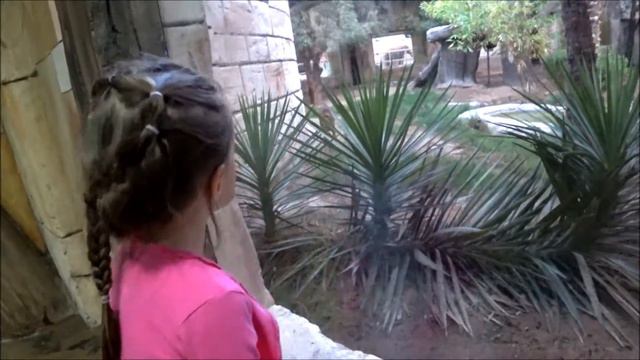 Лучший зоопарк 2 на Лайк Малика. Кормим Слона | Best Zoo 2 on Like Malika. Elephant feeding смотреть онлайн