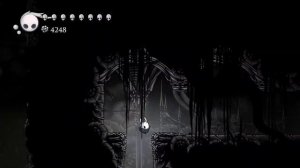 Место рождения Hollow Knight получили сердце пустоты