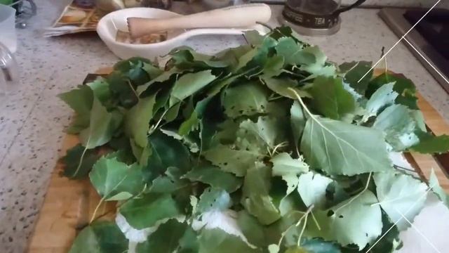 Краситель из листьев березы