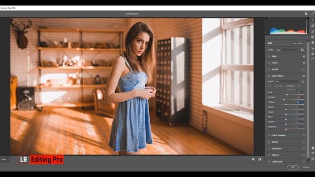 Aesthetic color tone photo editing in Photoshop using camera raw | photo preset смотреть онлайн