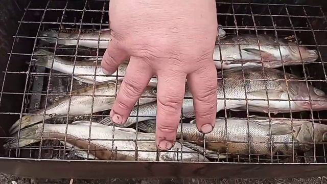 Готовим быстро и весело 