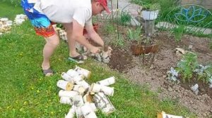 Ни в коем случае не выбрасывайте берёзовые брёвна Из них получится очень нужная самоделка