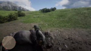 Где найти БИЗОНА в RDR2 | Превосходная шкура бизона