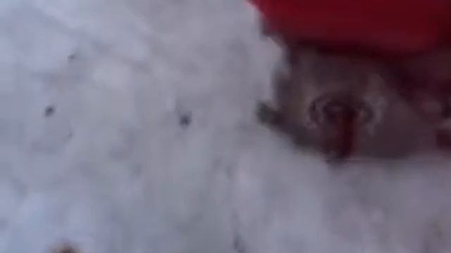 Лифан 6.5 л.с. смотреть онлайн