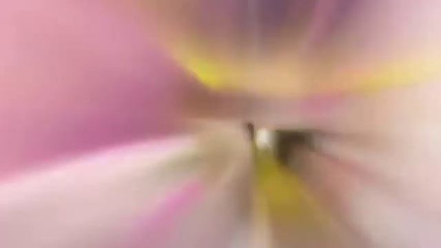 С Днём Рождения Лариса!!! смотреть онлайн