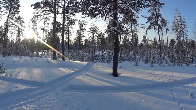 MAH00049 смотреть онлайн