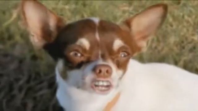 Смешная Реклама Машины смотреть онлайн