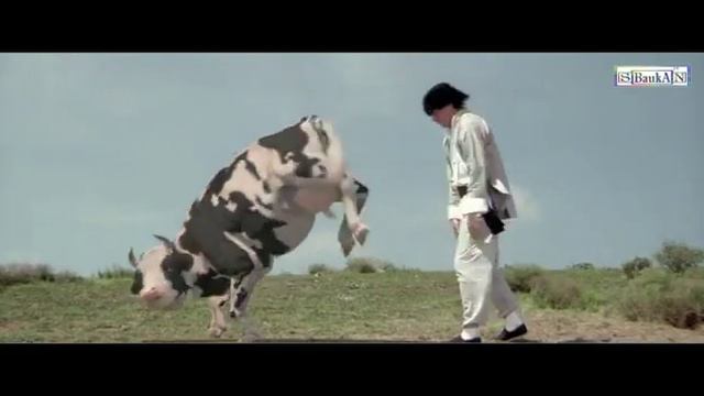 Сиыр VS Адам