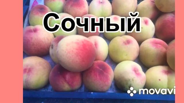 Персик долгожитель сорт «Киевский ранний» #персик #киевскийранний смотреть онлайн