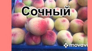 Персик долгожитель сорт «Киевский ранний»  #персик #киевскийранний