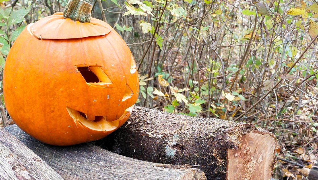 ☢️♨️НА ПОКАТУШКАХ ХЭЛЛОУИН 2023 смотреть онлайн