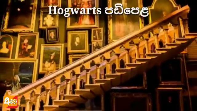 හැරී පෝටර් බලලත් මේ ටික දන්නැත්තන් වැඩක් නෑ | Unknown facts about Harry Potter |Awata смотреть онлайн