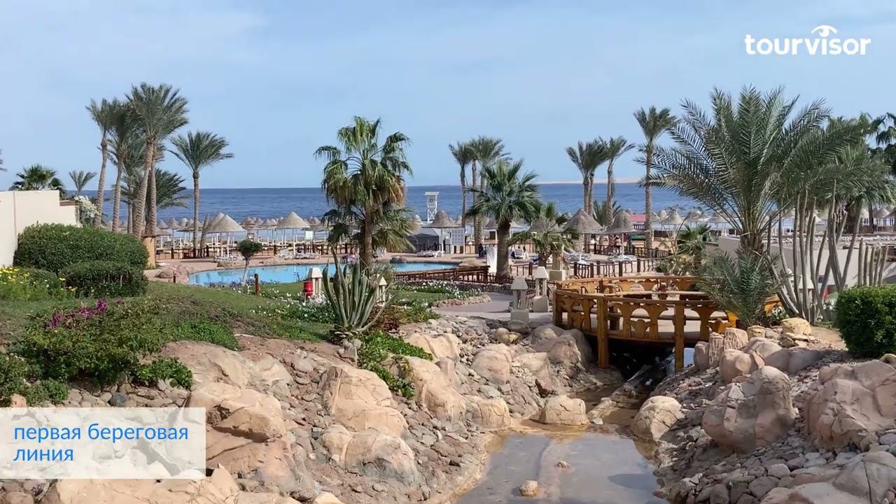 Parrotel Beach Resort 5*. Краткий видеообзор отеля в Египте смотреть онлайн
