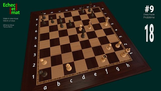 #9 Daily Chess Puzzle [mate in 1 move] Problem with 3D solution | Checkmate смотреть онлайн