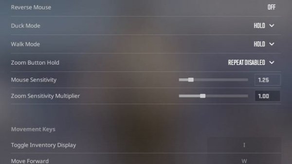 Donk Settings Counter Strike 2