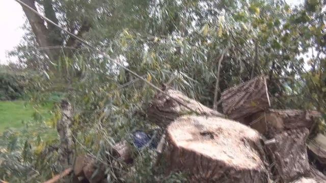 ПОСЛЕДНЯЯ РЫБАЛКА 2020г/ ПРОИСШЕСТВИЕ НА ДАЧЕ смотреть онлайн