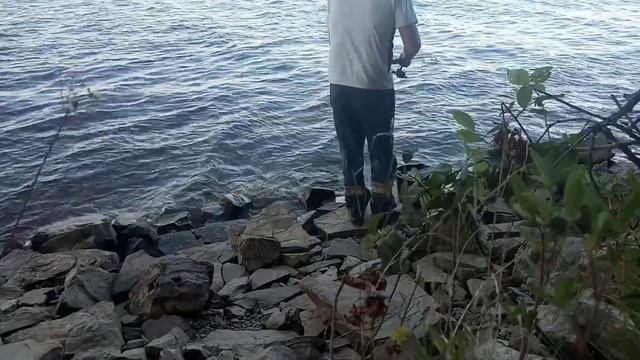 Ловля окуня на спиннинг. Река Сылва. смотреть онлайн