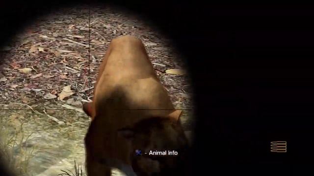 Cabela's Big Game Hunter 2010 (PS3) Gameplay: Mountain Lion Hunting in Colorado смотреть онлайн