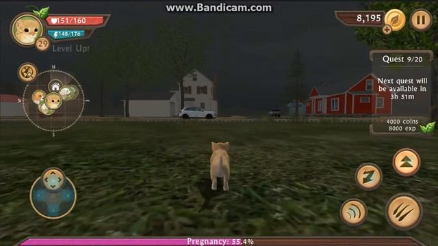 Cat Sim:вынашивание и рождение котенка