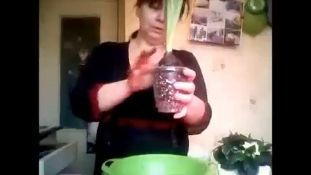 ГИАЦИНТ, ПЕРЕСАДКА ПОСЛЕ ПОКУПКИ смотреть онлайн