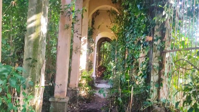 Абхазия. О красоте и местном гостеприимстве. смотреть онлайн