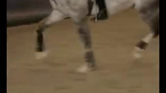 Лошади. Детям про лошадей - По секрету часть 2 смотреть онлайн