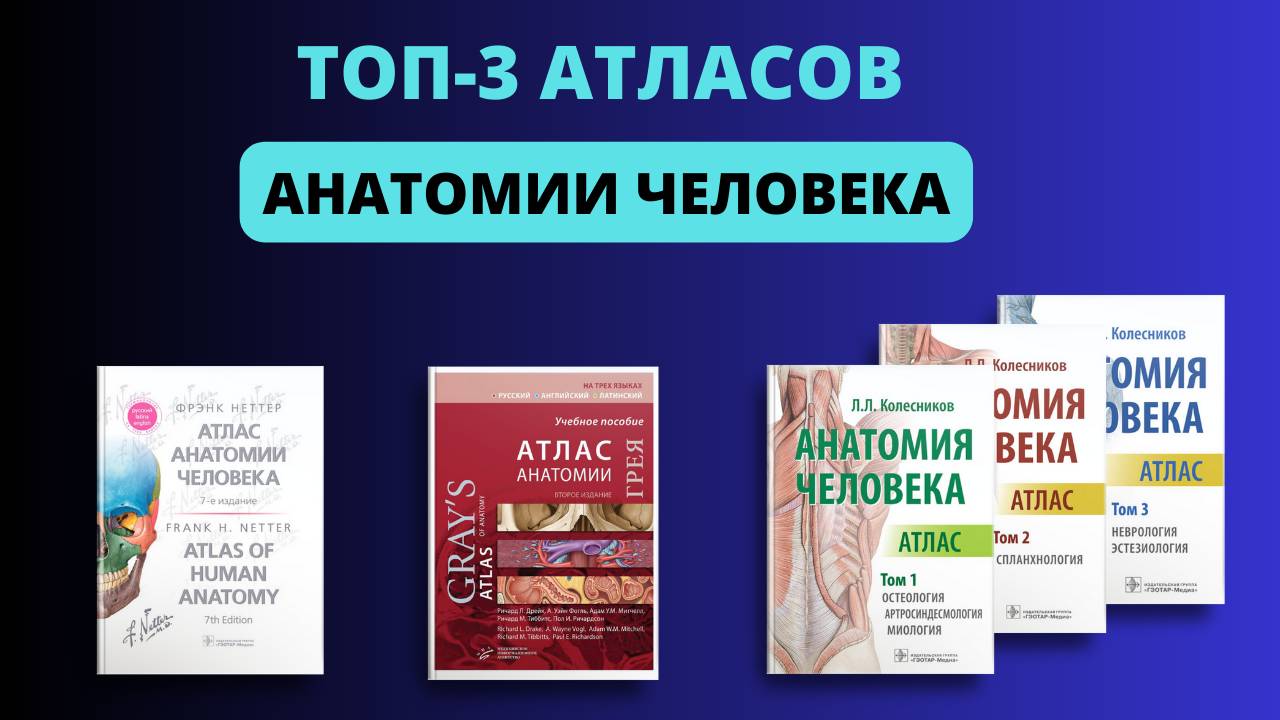 ТОП-3 Атласов анатомии человека смотреть онлайн