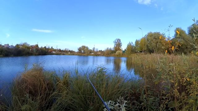 Ловля на ультралайт на пруду! Рыбалка в удовольствие! смотреть онлайн