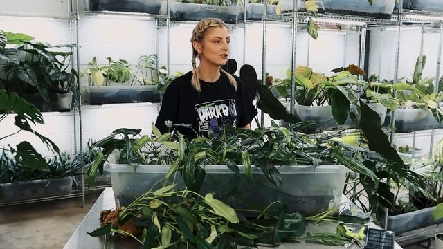 Click For NEW MERCH! | Repot With Me