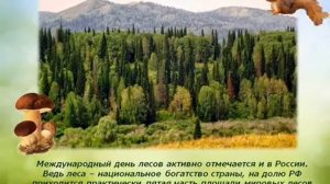 Электронная презентация «Международный день леса»