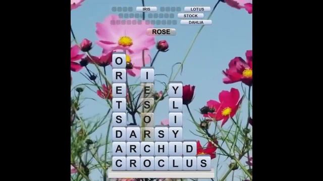 Word Squares 2 16:9 смотреть онлайн