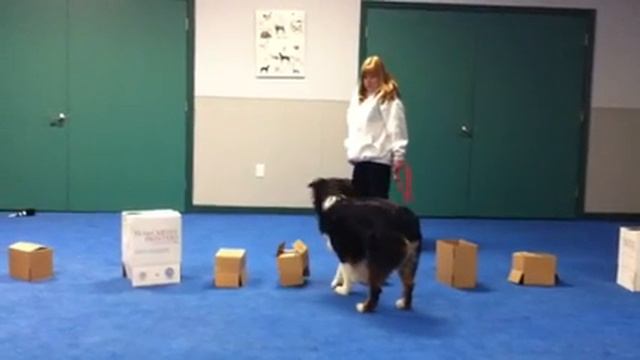 Skipper uses his nose смотреть онлайн