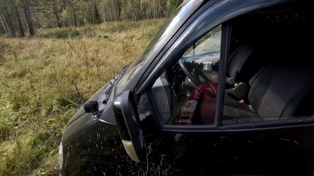 Соболь засел