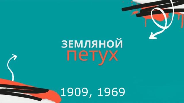 К какому типу / году Петуха Вы относитесь? Характеристика по китайскому гороскопу. смотреть онлайн