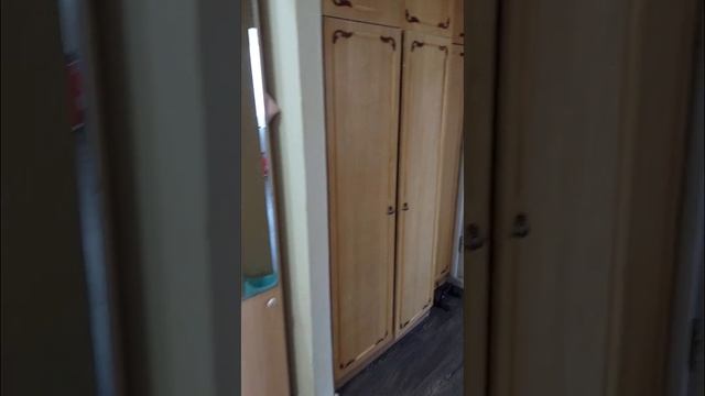 Продам двухкомнатную квартиру центре г. Тюмень смотреть онлайн