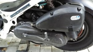 Хонда Зумер Honda ZOOMER af58