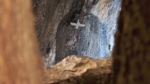 Зороастрийский храм в Иране